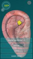 Reflexology Quiz 3D - foot - h 스크린샷 1