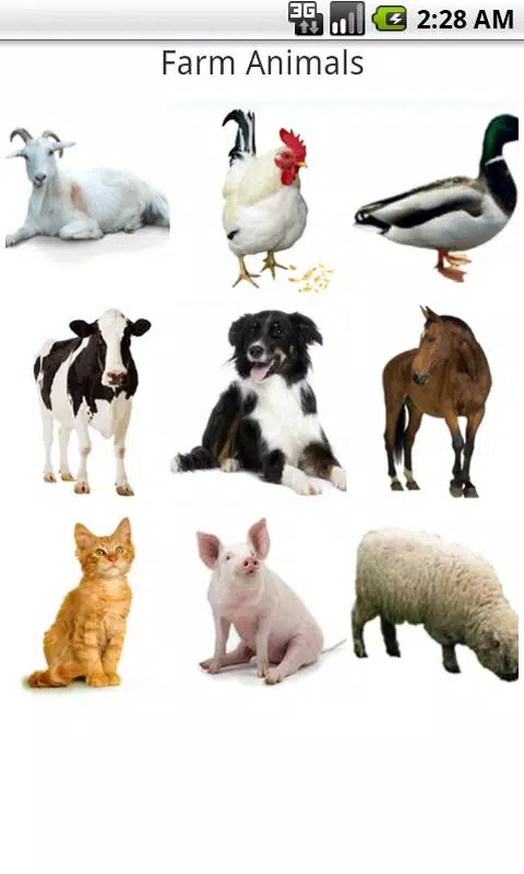 Real Animal Sounds For Kids APK for Android Download Real Animal Sounds For Kids APK for Android Download