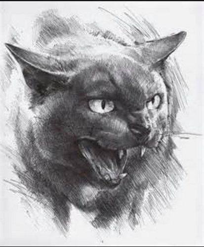 Coole 100 Bleistift Malerei Zeichnungs I Apk 7 1 Fur Android Herunterladen Die Neueste Verion Von Coole 100 Bleistift Malerei Zeichnungs I Apk Herunterladen Apkfab Com