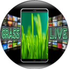 Grass Live Wallpaper أيقونة