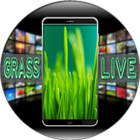 Grass Live Wallpaper icône