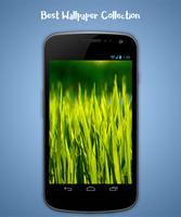 Grass Live Wallpaper syot layar 1