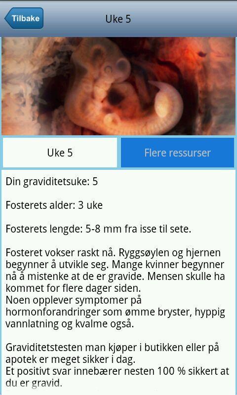 Kjønn baby test