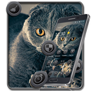 Gray Cute Cat Theme APK