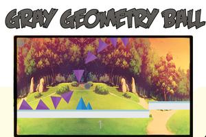Poster Gray Ball 6 Geometry