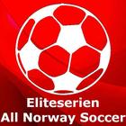 Eliteserien and All Norway Soccer leagues icône