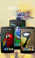 Beautiful Bird Wallpapers plakat