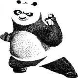 Kung Fu Panda : Fighting icône