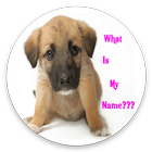 CUTE GIRL DOG NAMES APP 2020-icoon