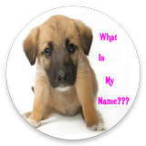 CUTE GIRL DOG NAMES APP 2020 icon