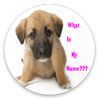 Icona CUTE GIRL DOG NAMES APP 2020