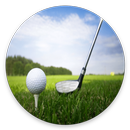 GOLF SWING TIPS REVEALED FOR 2 APK