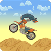 Desert Dirt Bike Stunts