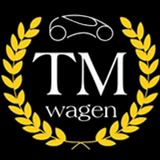 TM Wagen icône