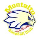 Montalto Baseball Club APK