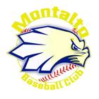Montalto Baseball Club icône