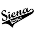 Siena Baseball icône
