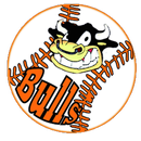 Bulls Rescaldina Baseball APK