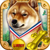 Lucky Shiba Casino Slots 2015 APK