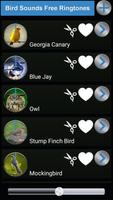 Bird Sounds Free Ringtones पोस्टर