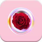 Rose Photo Frames Editor иконка