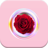 Rose Photo Frames Editor icon