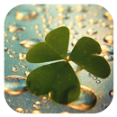 Green Natural Clover Theme APK