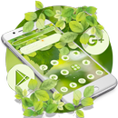 Summer Green Leaf Theme APK