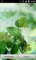 3 Schermata Green Leaves Live Wallpaper