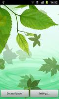 Green Leaves Live Wallpaper Affiche