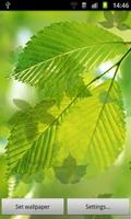 1 Schermata Green Leaves Live Wallpaper