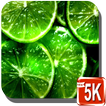 ”Green Wallpapers HD