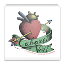 Eco-Festival Cabaret Vert 2013 APK