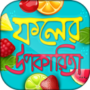 ফলের উপকারিতা ও গুনাগুন APK