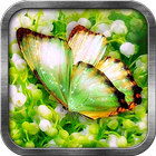Green Butterfly Live Wallpaper icône