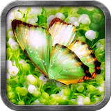 Icona Green Butterfly Live Wallpaper