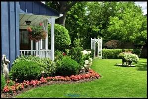 برنامه‌نما Beautiful Green Garden Ideas عکس از صفحه