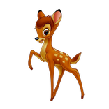 Hayvan Bulmaca Oyunu - Haydi Oynayalım