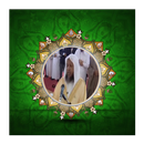 Offline Quran (114 MP3) - Muhammad Ayyub APK