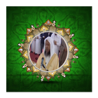 Offline Quran (114 MP3) - Muhammad Ayyub icône