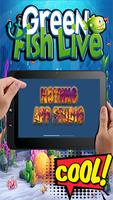 Green Fish Live - Game Ikan Seru poster