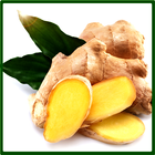 HEALTHY WITH THE BENEFITS OF GINGER Zeichen