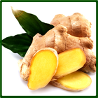 HEALTHY WITH THE BENEFITS OF GINGER आइकन