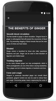 HEALTHY WITH THE BENEFITS OF GINGER スクリーンショット 2