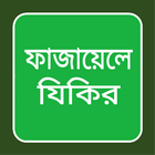 ফাজায়েলে যিকির أيقونة