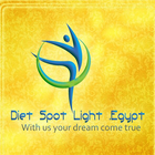 Diet Spot Light icône