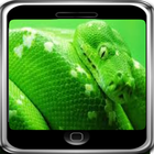 GREEN SNAKE WALLPAPER آئیکن