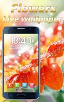 Flowers Live Wallpaper 스크린샷 3