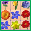 Onet Flower Challenge