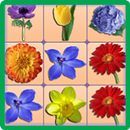 Onet Flower Challenge-APK